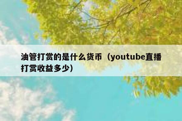 油管打赏的是什么货币（youtube直播打赏收益多少） 第1张