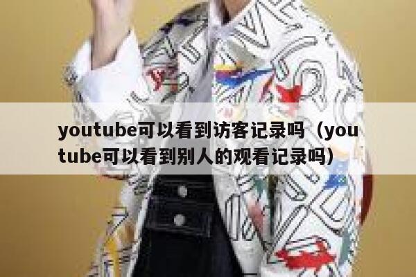 youtube可以看到访客记录吗（youtube可以看到别人的观看记录吗） 第1张