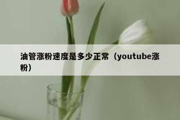 油管涨粉速度是多少正常（youtube涨粉） 第1张