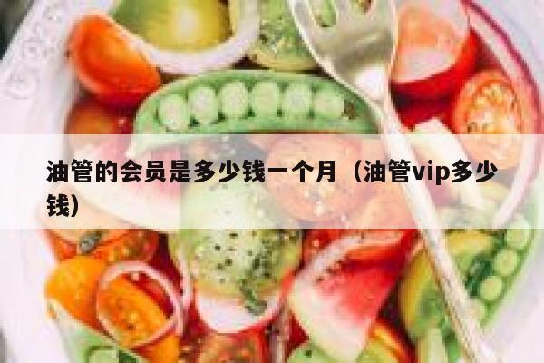 油管的会员是多少钱一个月（油管vip多少钱） 第1张
