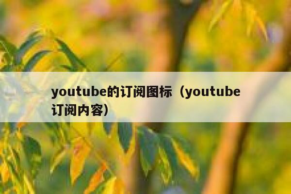 youtube的订阅图标（youtube订阅内容） 第1张