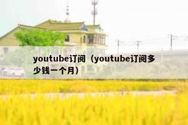 youtube订阅(youtube订阅多少钱一个月) 第1张 youtube订阅(youtube订阅多少钱一个月) 第1张