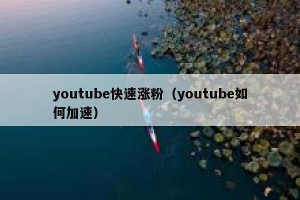 youtube快速涨粉(youtube如何加速) 第1张 youtube快速涨粉(youtube如何加速) 第1张