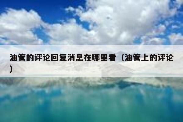油管的评论回复消息在哪里看（油管上的评论） 第1张