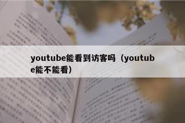 youtube能看到访客吗(youtube能不能看) 第1张 youtube能看到访客吗(youtube能不能看) 第1张