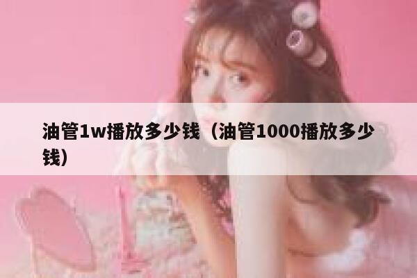 油管1w播放多少钱（油管1000播放多少钱） 第1张