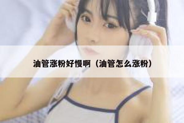 油管涨粉好慢啊（油管怎么涨粉） 第1张