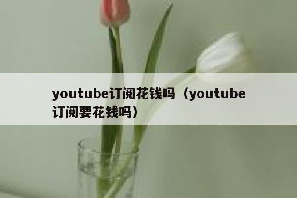 youtube订阅花钱吗(youtube订阅要花钱吗) 第1张 youtube订阅花钱吗(youtube订阅要花钱吗) 第1张