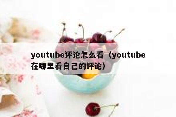 youtube评论怎么看（youtube在哪里看自己的评论） 第1张