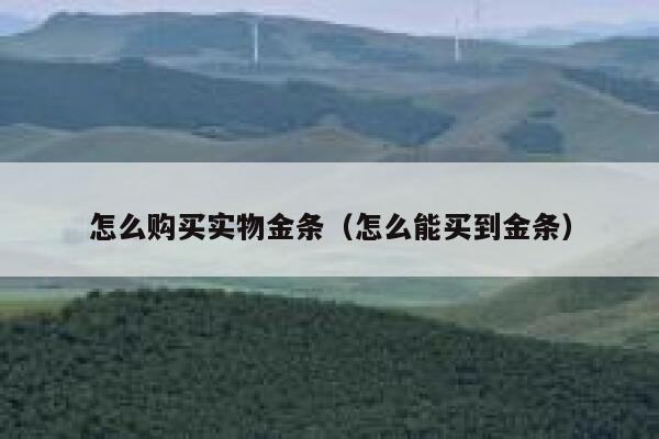 怎么购买实物金条(怎么能买到金条) 第1张 怎么购买实物金条(怎么能买到金条) 第1张