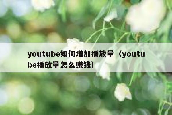 youtube如何增加播放量（youtube播放量怎么赚钱） 第1张