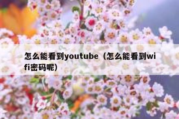 怎么能看到youtube（怎么能看到wifi密码呢） 第1张