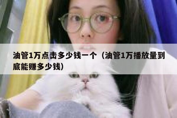 油管1万点击多少钱一个(油管1万播放量到底能赚多少钱) 第1张 油管1万点击多少钱一个(油管1万播放量到底能赚多少钱) 第1张