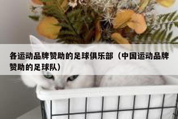 各运动品牌赞助的足球俱乐部（中国运动品牌赞助的足球队） 第1张