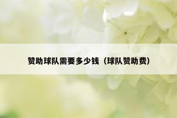 赞助球队需要多少钱（球队赞助费） 第1张