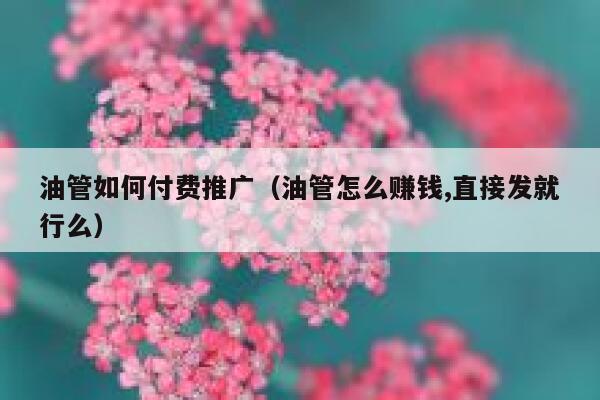 油管如何付费推广（油管怎么赚钱,直接发就行么） 第1张