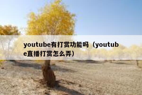 youtube有打赏功能吗（youtube直播打赏怎么弄） 第1张