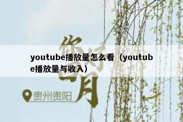 youtube播放量怎么看（youtube播放量与收入） 第1张