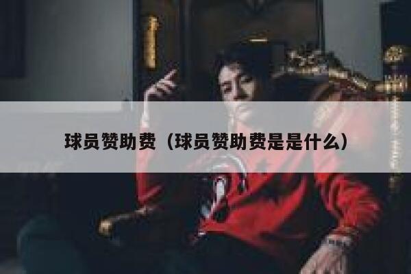 球员赞助费（球员赞助费是是什么） 第1张