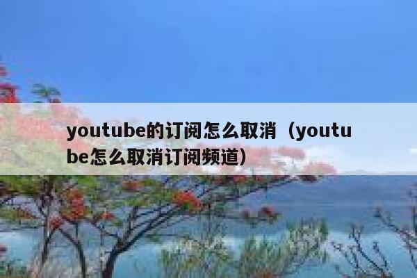 youtube的订阅怎么取消（youtube怎么取消订阅频道） 第1张