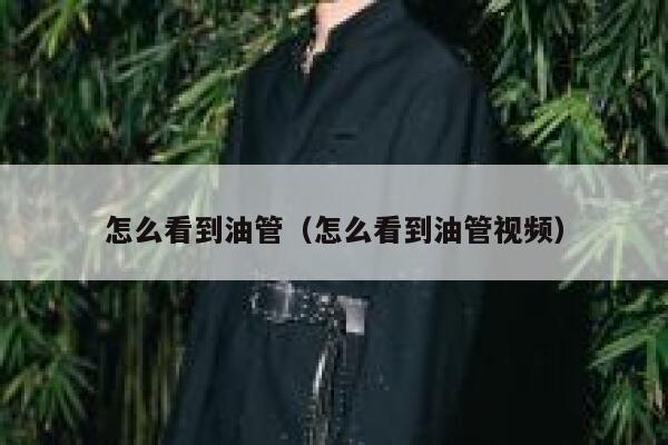 怎么看到油管（怎么看到油管视频） 第1张