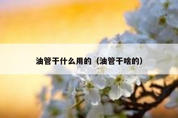 油管干什么用的（油管干啥的） 第1张