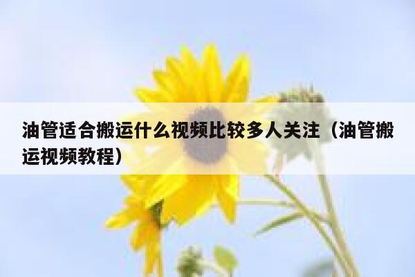 油管适合搬运什么视频比较多人关注（油管搬运视频教程） 第1张
