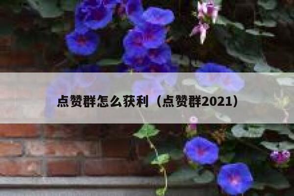 点赞群怎么获利（点赞群2021） 第1张