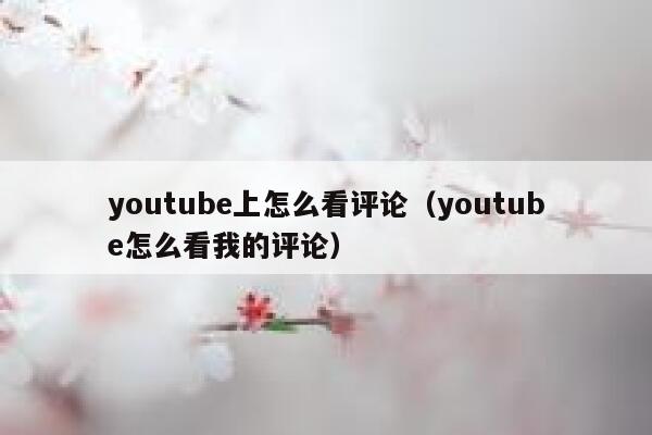 youtube上怎么看评论（youtube怎么看我的评论） 第1张