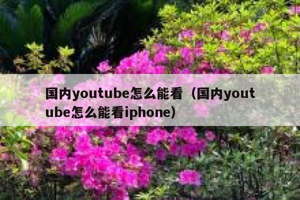 国内youtube怎么能看（国内youtube怎么能看iphone） 第1张