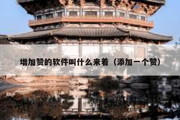 增加赞的软件叫什么来着（添加一个赞） 第1张