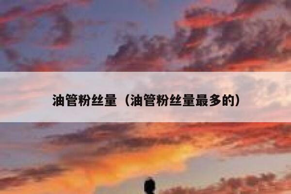 油管粉丝量（油管粉丝量最多的） 第1张