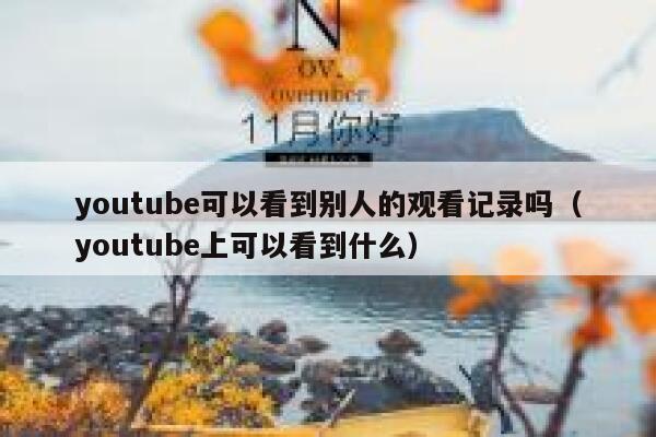 youtube可以看到别人的观看记录吗（youtube上可以看到什么） 第1张