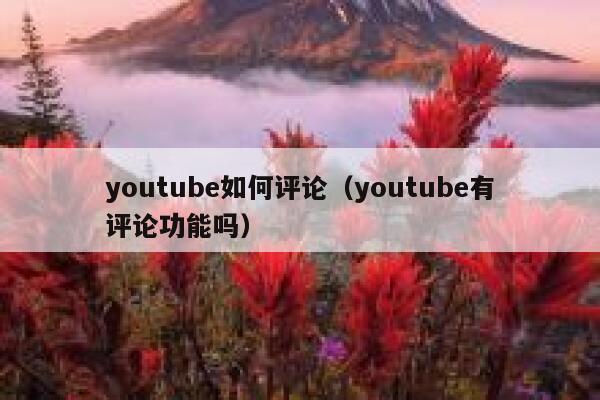 youtube如何评论（youtube有评论功能吗） 第1张