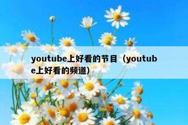 youtube上好看的节目（youtube上好看的频道） 第1张
