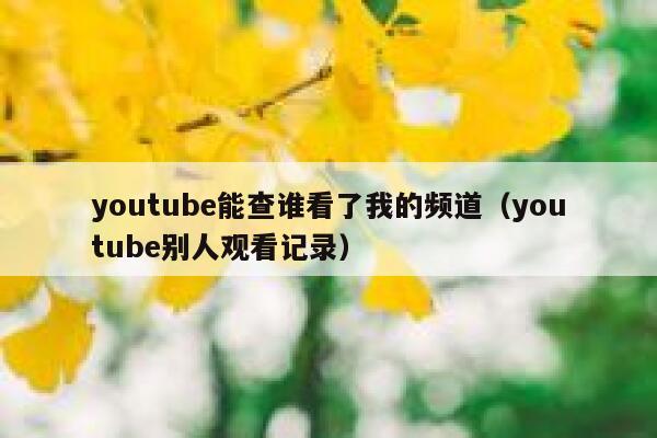 youtube能查谁看了我的频道（youtube别人观看记录） 第1张