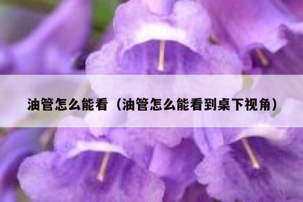 油管怎么能看（油管怎么能看到桌下视角） 第1张