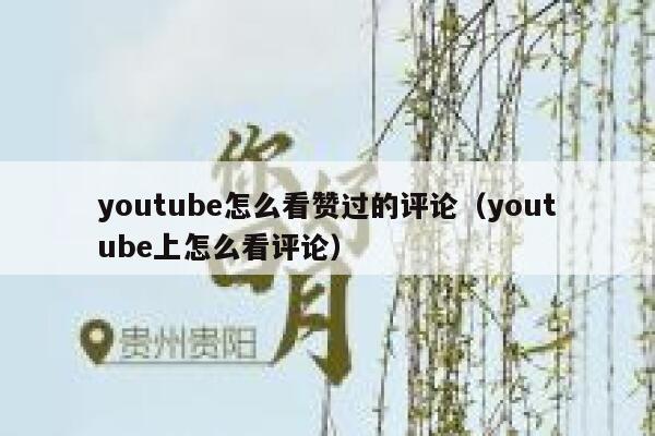 youtube怎么看赞过的评论（youtube上怎么看评论） 第1张