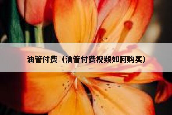 油管付费（油管付费视频如何购买） 第1张