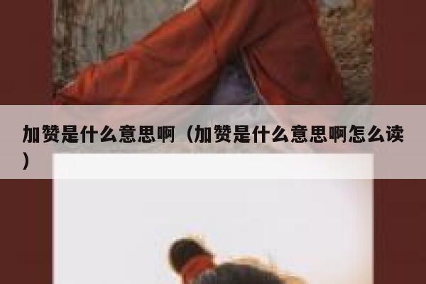 加赞是什么意思啊(加赞是什么意思啊怎么读) 第1张 加赞是什么意思啊(加赞是什么意思啊怎么读) 第1张