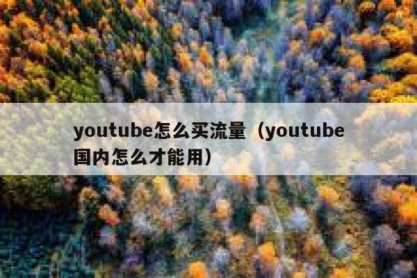 youtube怎么买流量(youtube国内怎么才能用) 第1张 youtube怎么买流量(youtube国内怎么才能用) 第1张