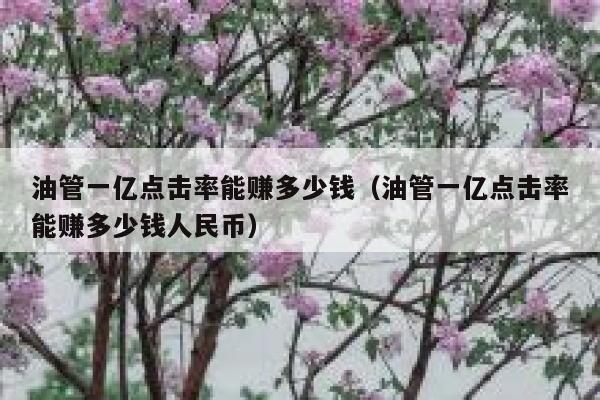 油管一亿点击率能赚多少钱（油管一亿点击率能赚多少钱人民币） 第1张