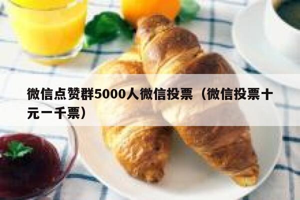 微信点赞群5000人微信投票（微信投票十元一千票） 第1张