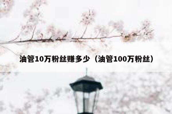 油管10万粉丝赚多少（油管100万粉丝） 第1张