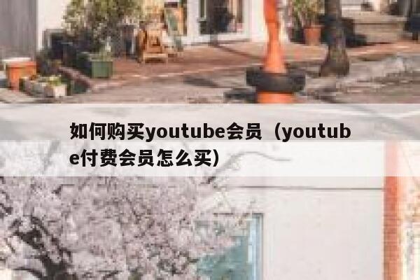 如何购买youtube会员（youtube付费会员怎么买） 第1张