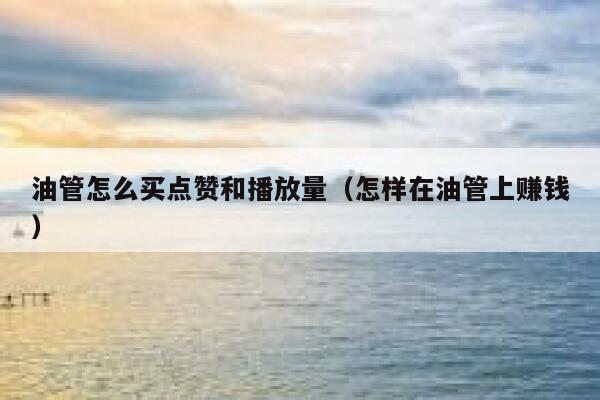 油管怎么买点赞和播放量(怎样在油管上赚钱) 第1张 油管怎么买点赞和播放量(怎样在油管上赚钱) 第1张