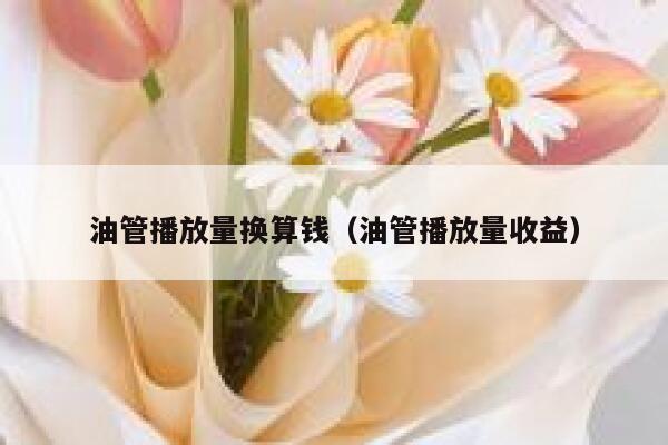 油管播放量换算钱（油管播放量收益） 第1张