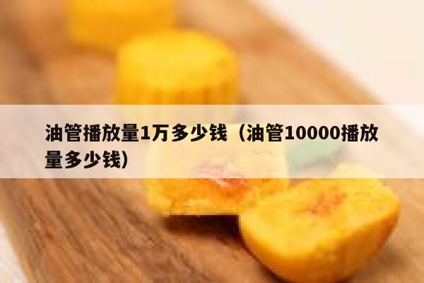 油管播放量1万多少钱（油管10000播放量多少钱） 第1张