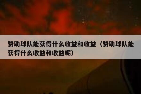 赞助球队能获得什么收益和收益（赞助球队能获得什么收益和收益呢） 第1张
