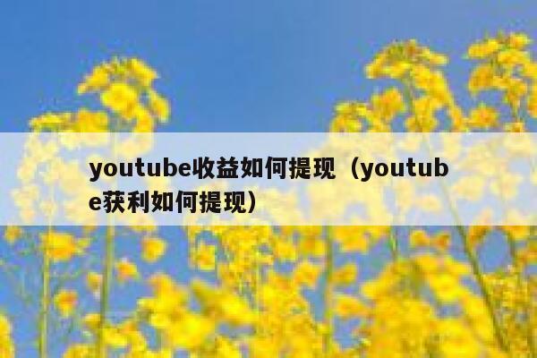 youtube收益如何提现（youtube获利如何提现） 第1张